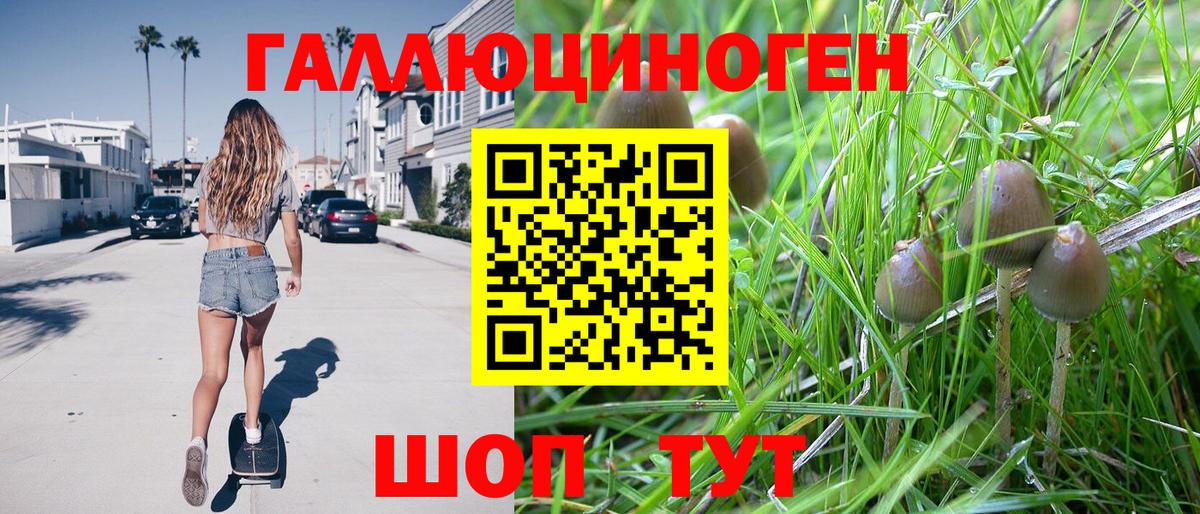 Одинцово  Галлюциногенные грибы ЛСД  Галлюциногенные грибы Cubensis  Вход с VPN 